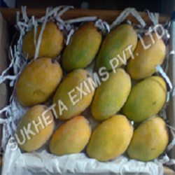 Manufacturers Exporters and Wholesale Suppliers of Sweet Kesar Mango Aurangabad Maharashtra